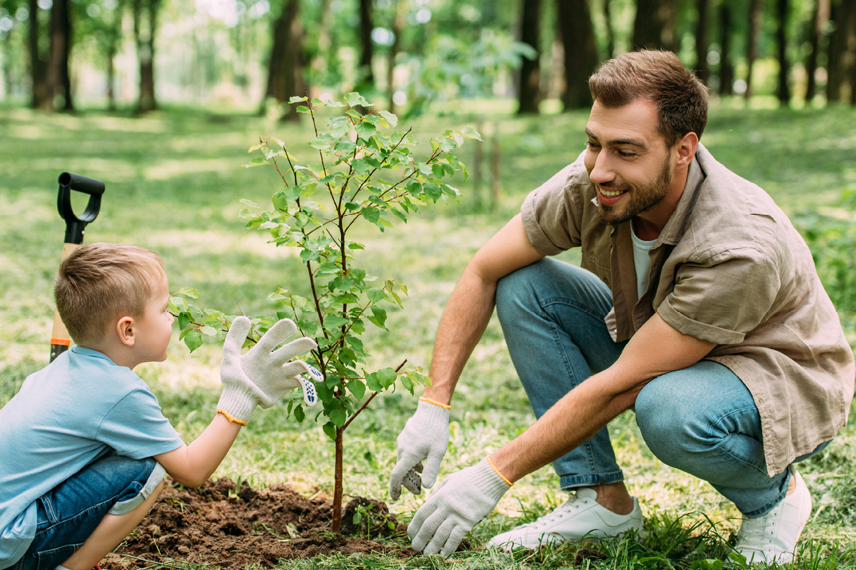 Celebrate Florida Arbor Day on January 20 Alachua County Library District