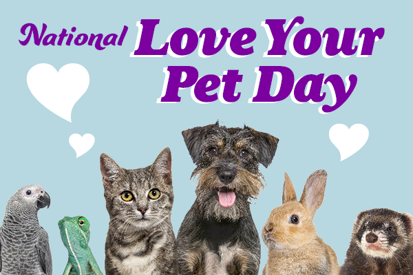 National Love Your Pet Day | Alachua County Library District