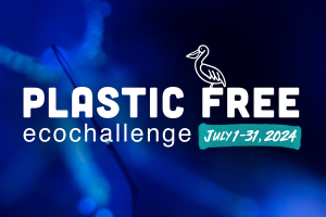 Plastic Free Ecochallenge