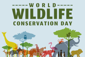 HPT.WildlifeConservation.122024.png