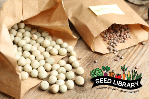 HPT.SeedSwapDay.012025.png