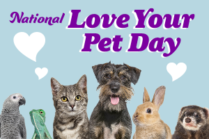 HPT.LoveYourPetDay.022025.png