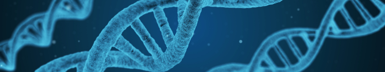 double helix DNA strands