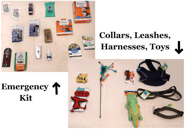 display of emergency kit, collars, leashes, harnesses, and toys for pets