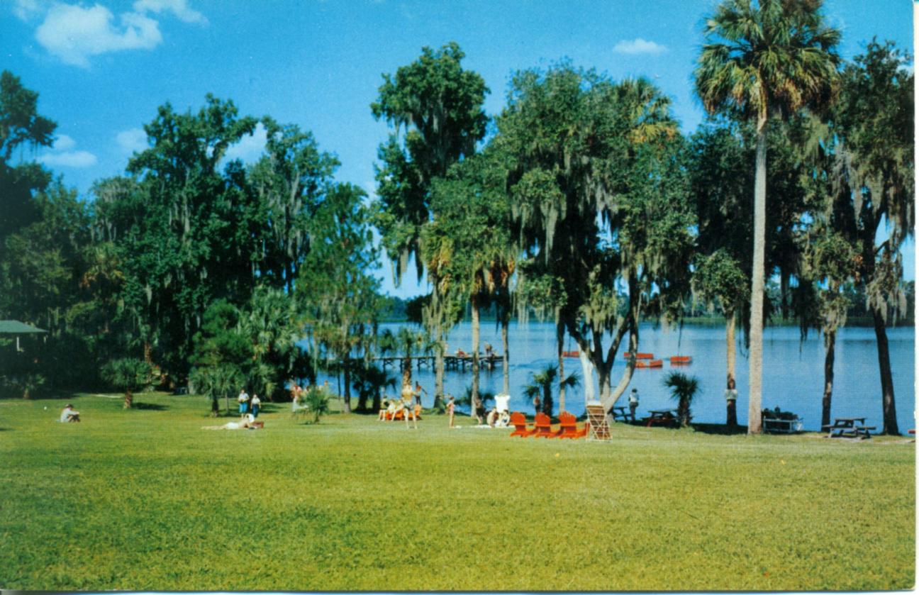 people enjoying the sun on the shore of Lake Wauberg