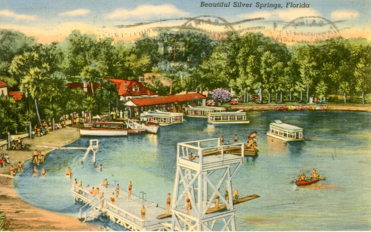 postcard of swimming and boating at Silver Springs