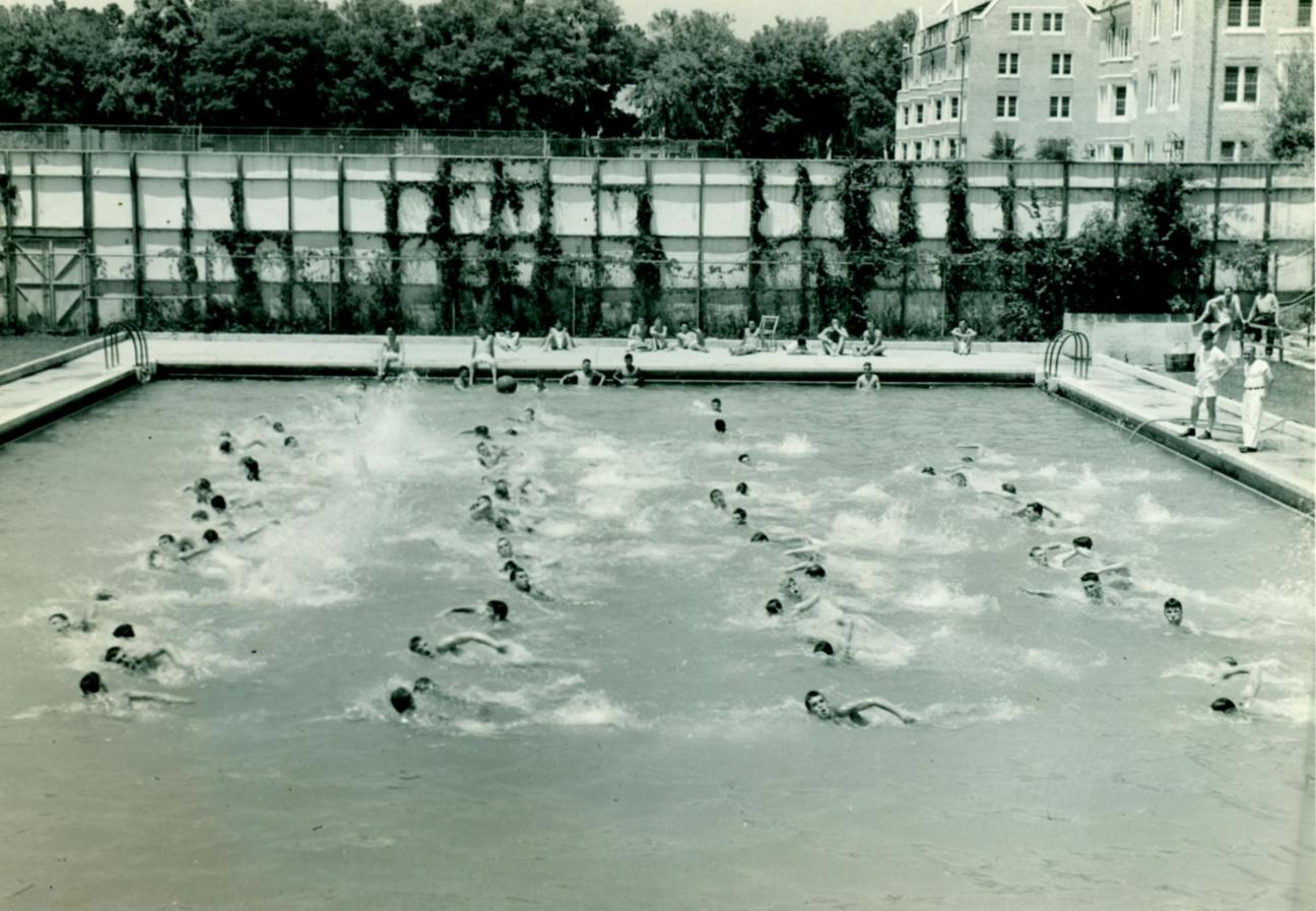 people swimming in UF pool