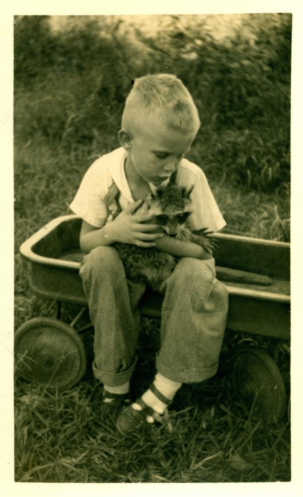 Arthur Godwin sitting in a wagon holding hit pet raccoon