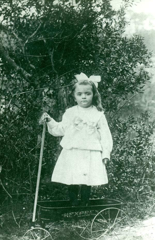 Berkstresser child in wagon