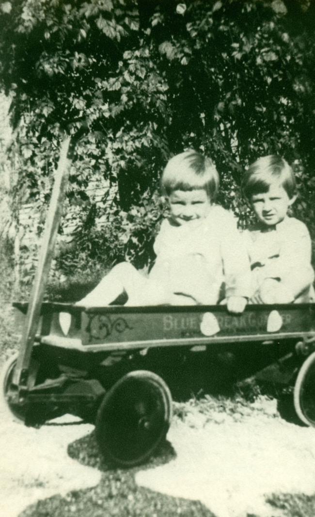 Bill and Dick Williams in a wagon