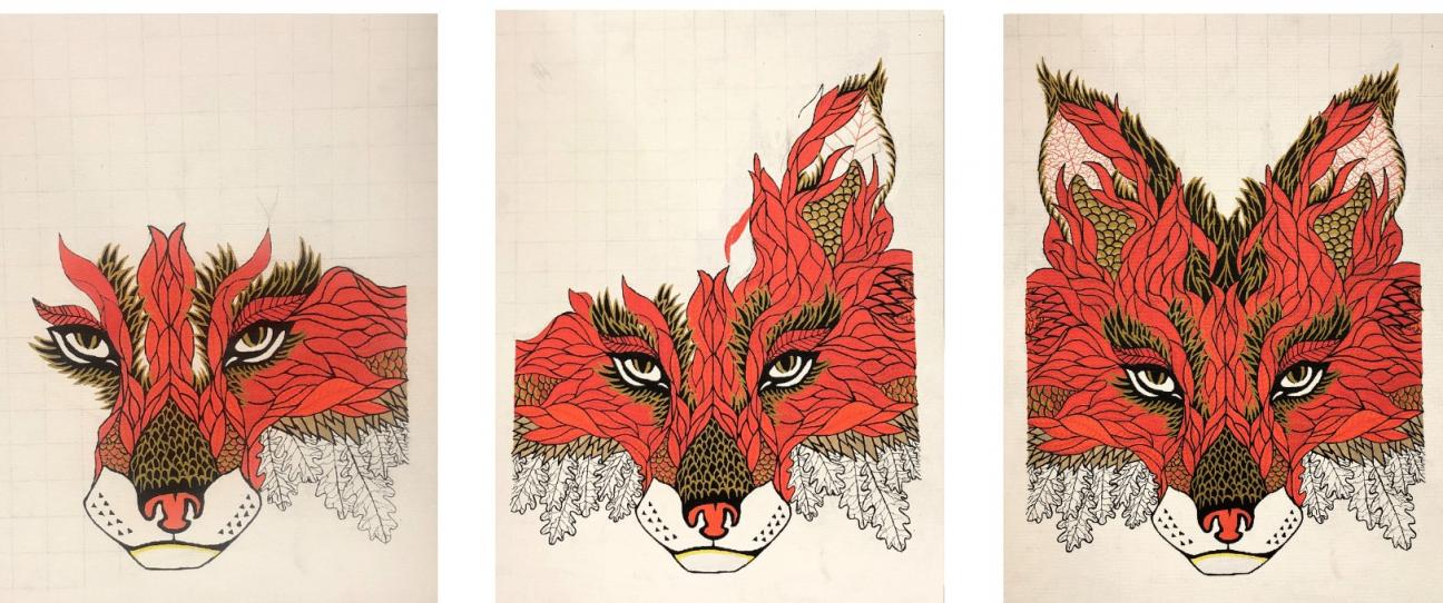 Progress shots A set of three progress shots of a drawing of a fox