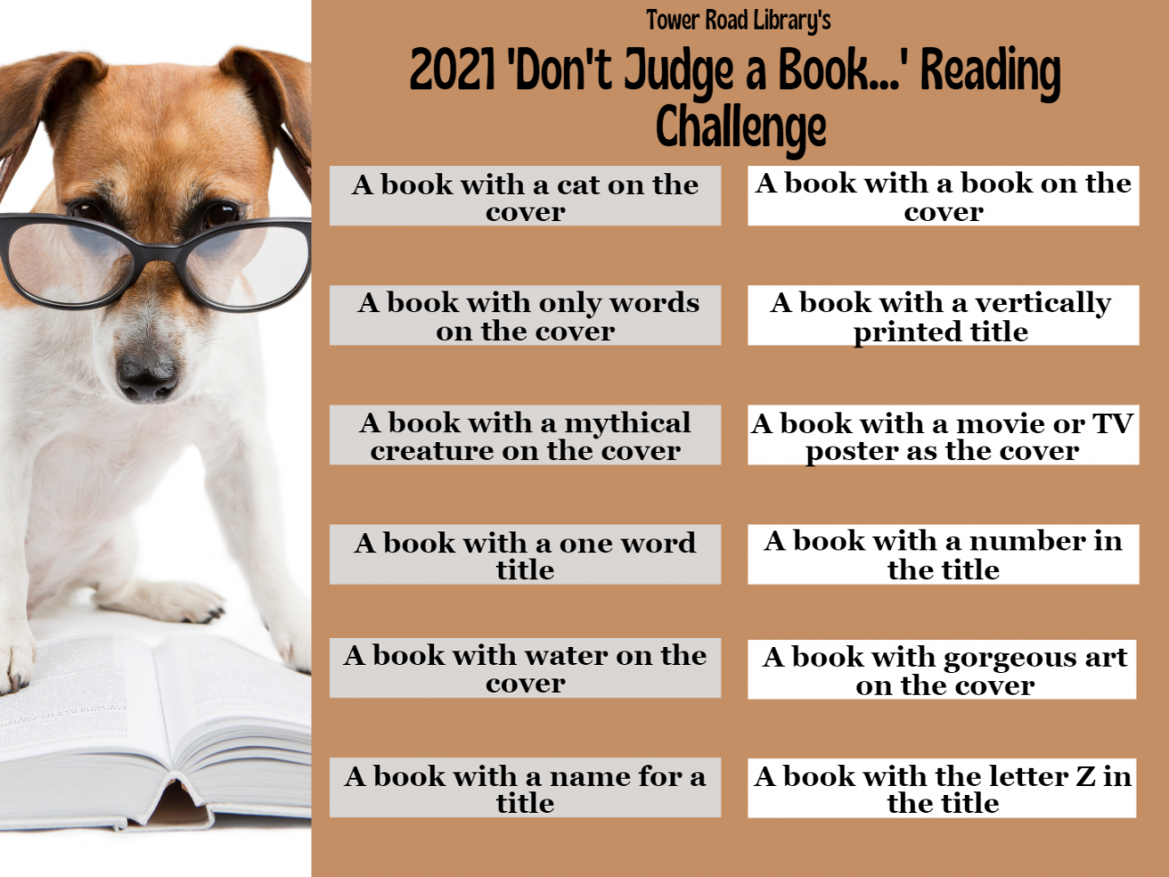 Tower Road Library's 2021 Don't Judge A Book Reading Challenge printable sheet