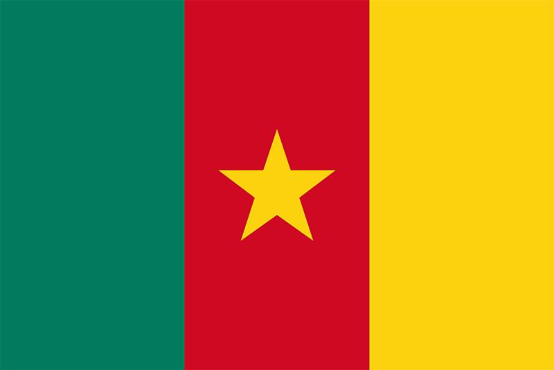 Flag of Cameroon