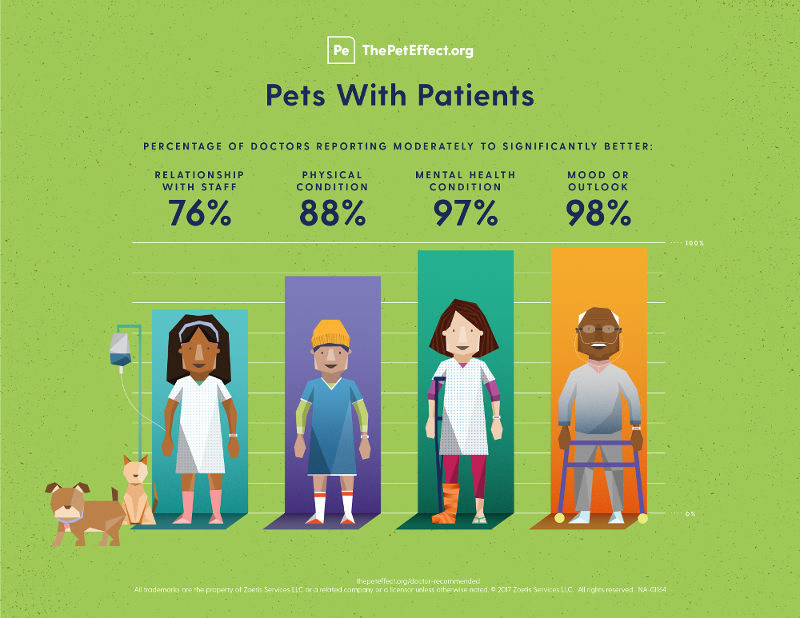 Infographic Showing the Positive Effects of Pets on Overall Health