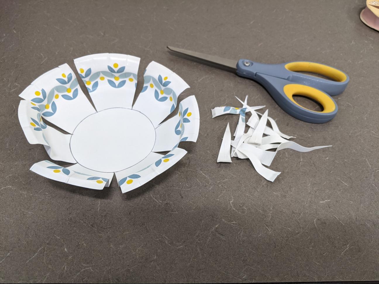 The same paper plate, now cut along the lines with more cut out to form a V-shape between each side.