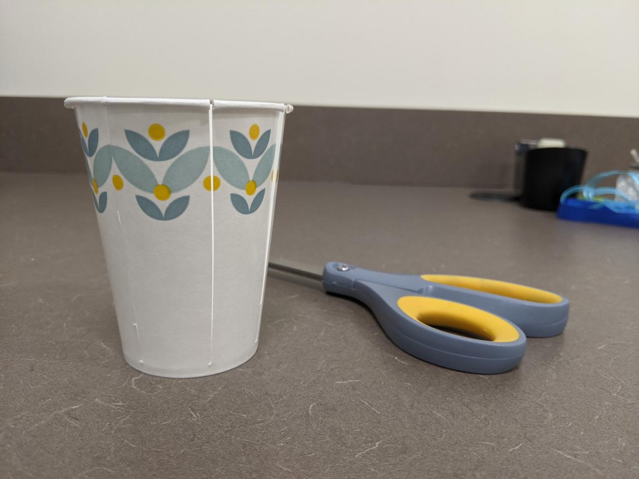 A paper cup, the sides of which are cut into seven sections