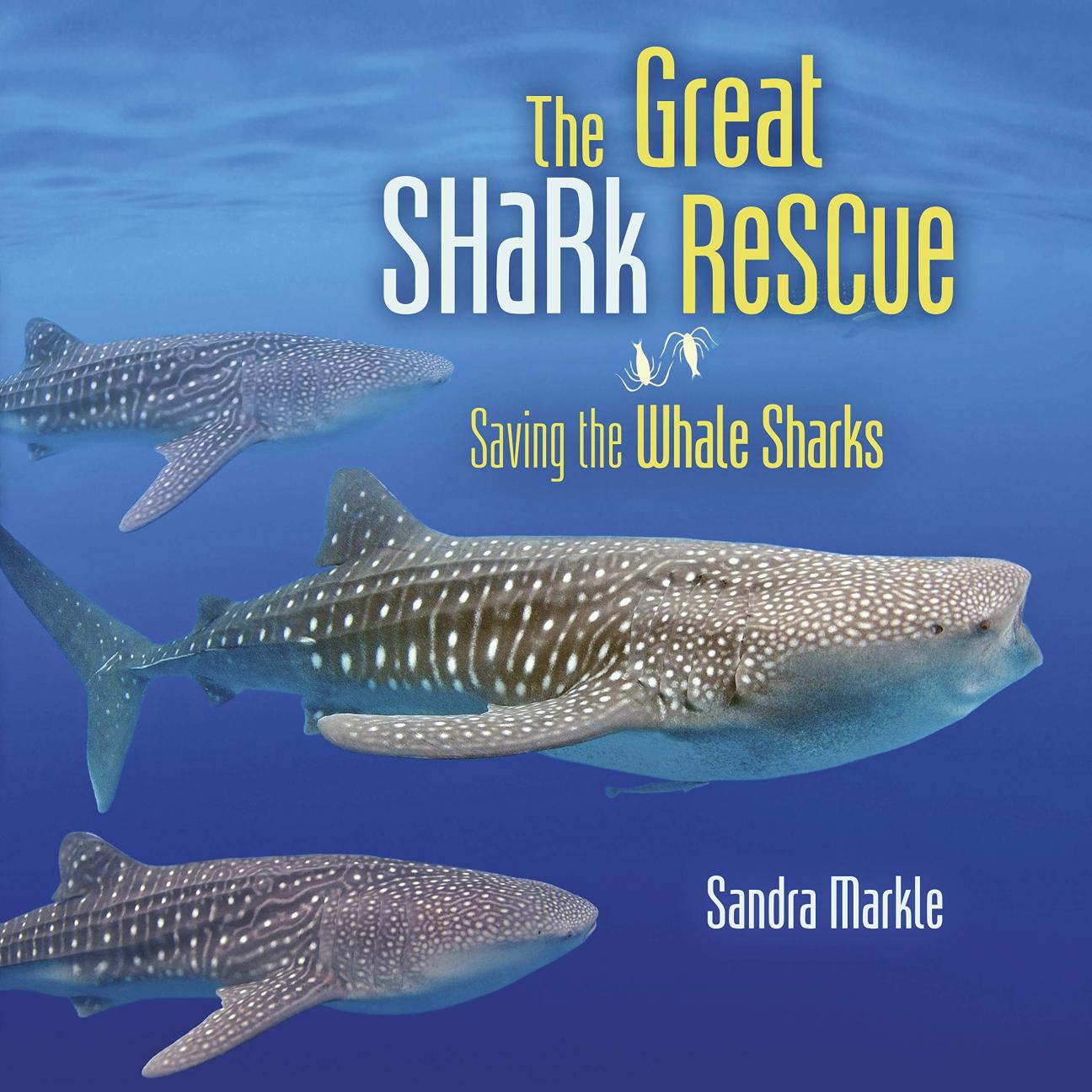 The cover of "The Great Shark Rescue" by Sandra Markle, which features a photo of three young whale sharks swimming from left to right. The title and author are in white and yellow at the top and bottom right of the cover.