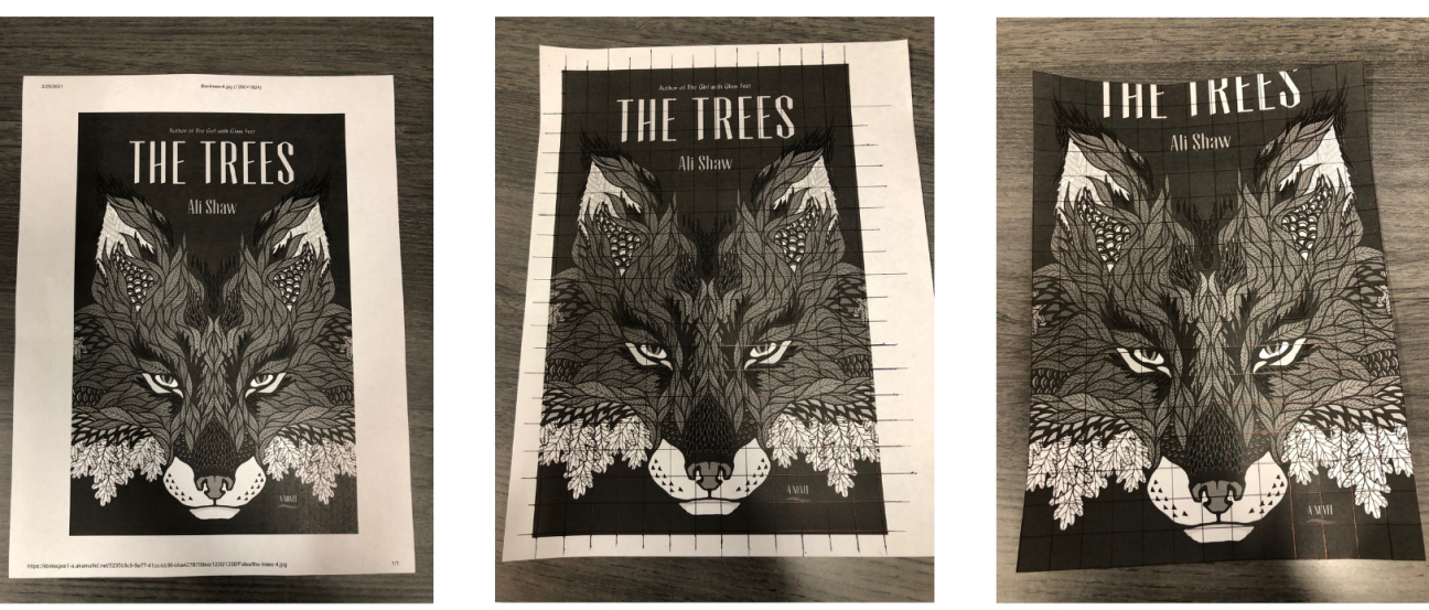 Prepare your cover A set of three images. All three show a black and white version of The Trees by Ali Shaw. The first image is plain. The second image has a grid drawn over it in pen, and the third image has been trimmed down.