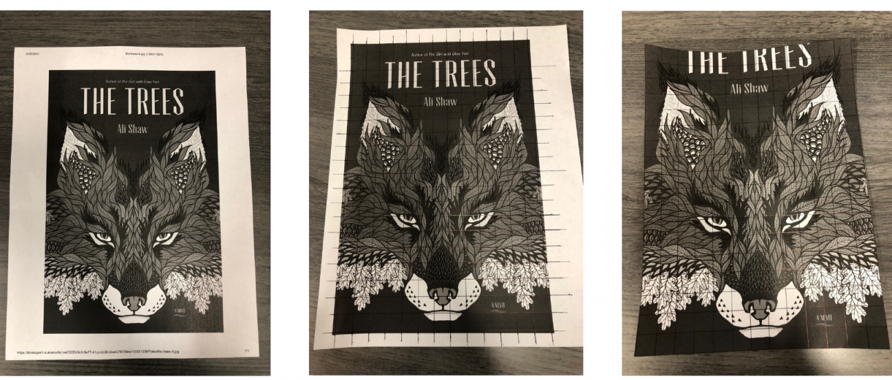 A set of three images. All three show a black and white version of The Trees by Ali Shaw. The first image is plain. The second image has a grid drawn over it in pen, and the third image has been trimmed down.