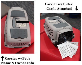 pet carriers with name, owner information, and index cards attached