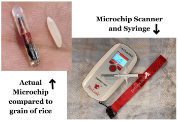 pet ID microchip compared to a grain of rice and a scanner and syringe