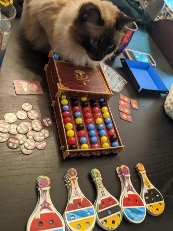 A Siamese cat sitting on a table in front of an elaborate board game.