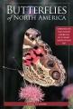 Book cover of Butterflies of North America