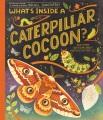 Book cover of a caterpillar cocoon with a butterfly and a caterpillar