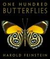 Book cover of One Hundred Butterflies with yellow and black butterfly