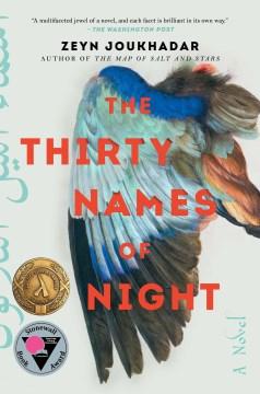 Book cover featuring a bird's wing with blue and brown feathers.  The background is white and has non-English script going up the sides.  Text reads, "The Thirty Names of Night".