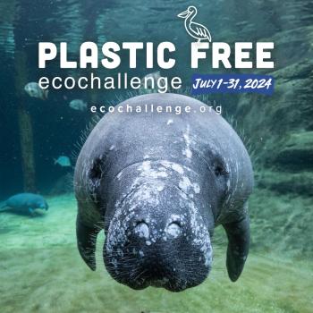 Mantatee Plastic Free Echochallenge 