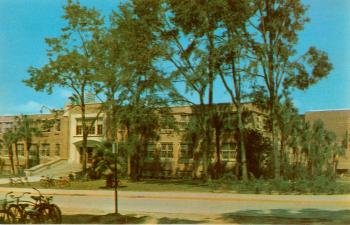 Florida Gymnasium 1950s postcard