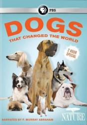 Dogs That Changed The World