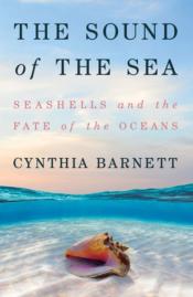The Sound of the Sea Seashells 