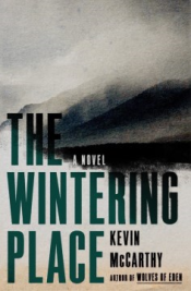 Cover of the book The Wintering Place with a big wave on it.