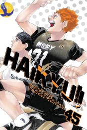 Haikyu Vol 45