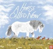 A Horse Called Now cover art