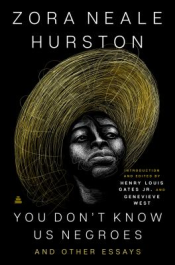 Book titled "You Don't Know Us Negroes"