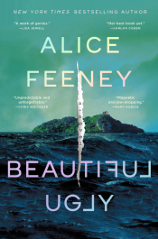 Beautiful Ugly book cover, island in the middle of the ocean