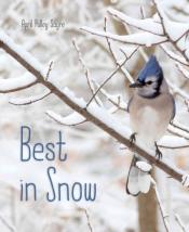 Best In Snow" by April Pulley Sayre