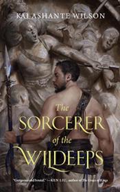 Sorcerer of the Wildeeps bookcover