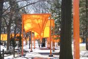 View of The Gates art installation in Central Park, New York. Orange fabric is draped over large open wooden structures